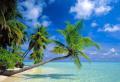 почивка Почивка на Малдивите - Почивка в Рая