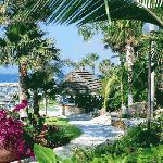 Хотел Amathus Beach, Кипър