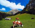 Хотели, екскурзии и почивки в Швейцария