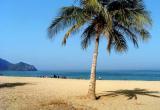 Fujeirah 8, 