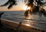Kos Island 8, 