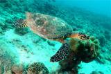 Seychelles island - all 12, 