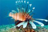 Seychelles island - all 6, 