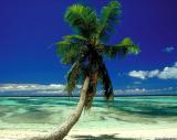 Seychelles island - all 7, 