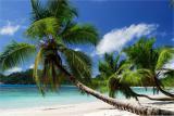 Seychelles island - all 9, 
