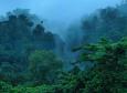 Langkawi Island 4, 
