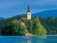 Bled 12, 