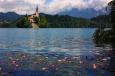 Bled 6, 