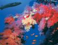 Sharm El Sheikh 10, 