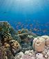 Sharm El Sheikh 3, 