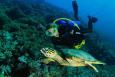 Sharm El Sheikh 9, 