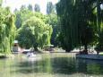 Razlog 9, 