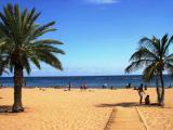 Tenerife 3, 
