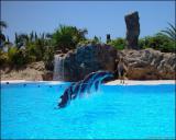 Tenerife 8, 