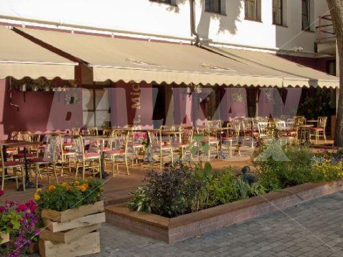 holiday in Algirdas City