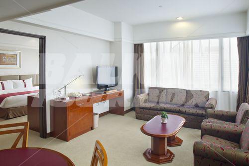 holiday in Holiday Inn City Centre