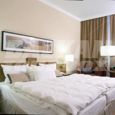 holiday in Corinthia Nevskij Palace