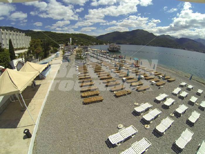 holiday in  Hotel Delfin  Bijela 