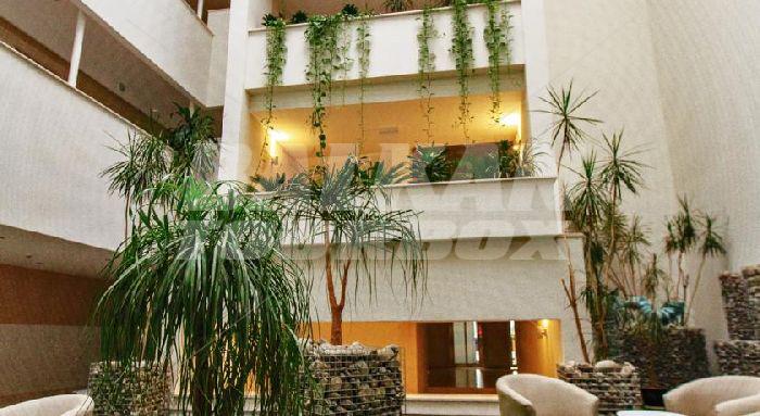 holiday in  Hotel Delfin  Bijela 