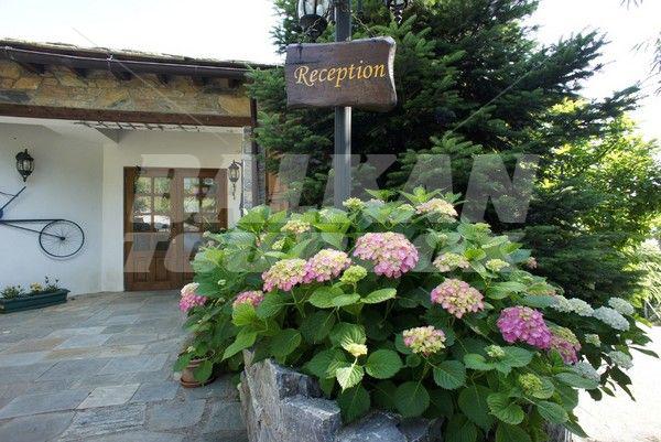holiday in Aglaida Apartments
