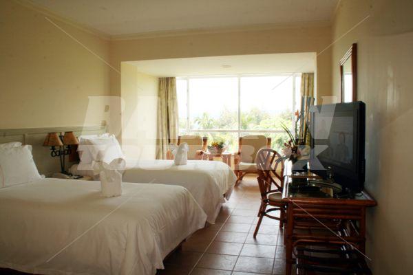 holiday in Resort Golden Palm