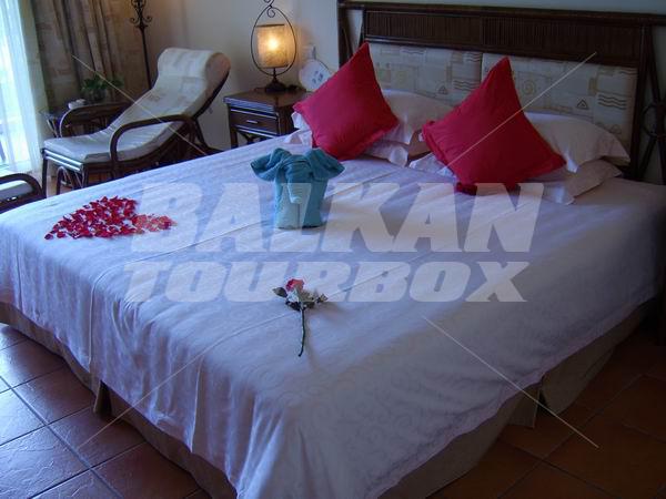 holiday in Resort Golden Palm