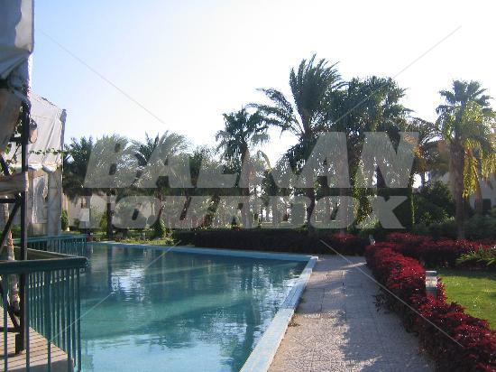 holiday in Hilton Hurghada Resort