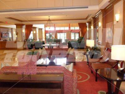 почивка в Courtyard by Marriott Orlando Lake Buena Vista in the Marriott Village