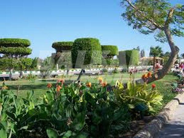 holiday in Magawish Village & Resort