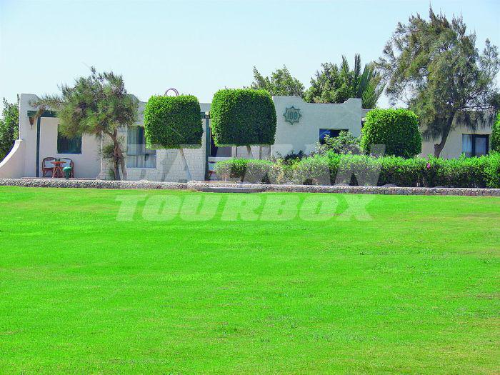 holiday in Magawish Village & Resort