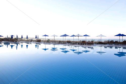 holiday in Royal Belvedere