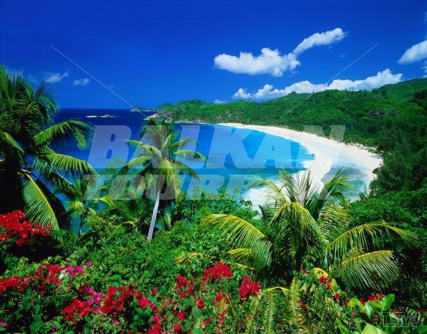 holiday in Ficherman's Cove