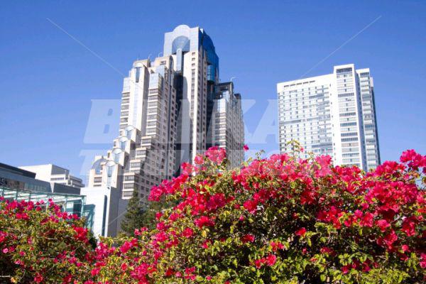 почивка в San Francisco Marriott Marquis