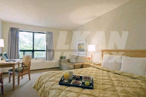 holiday in Comfort Inn Waterloo