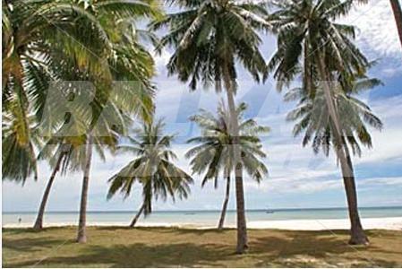 почивка в Samui Orchid Resort