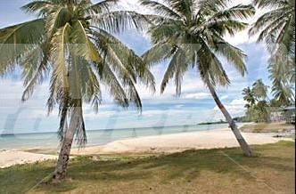почивка в Samui Orchid Resort