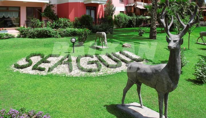 почивка в Seagull Hotel