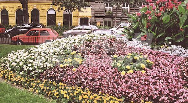 почивка в Goldener Baer