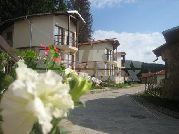 holiday in Villas Amampuri