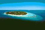 Хотел Kurumba Island Resort, 