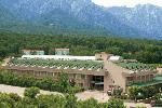 Hotel Armas Gul Beach, Turkey, Antalya - Kemer