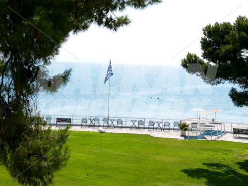 holiday in Kalamaki Beach