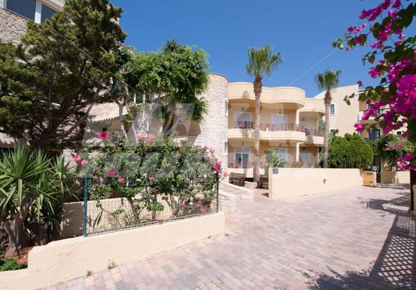 holiday in Cactus Beach Hotel and Bungalows