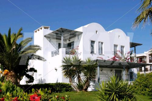 holiday in Annabelle Beach Resort