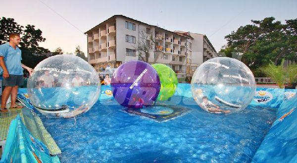 holiday in Dolphin