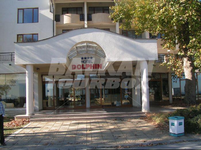 holiday in Dolphin