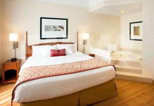 почивка в Courtyard by Marriott Houston Downtown /Convention Center