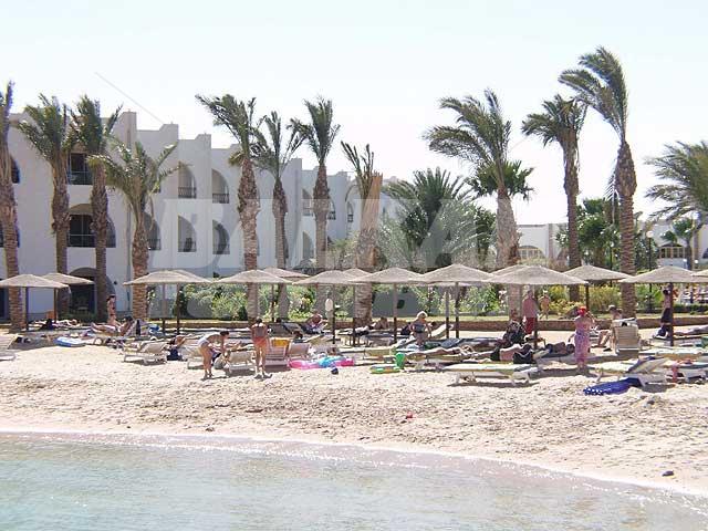 holiday in Arabia