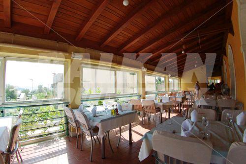 holiday in Spongiola
