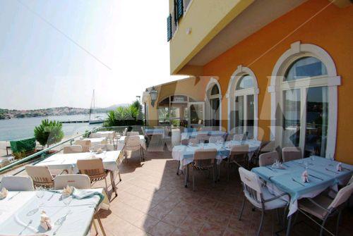 holiday in Spongiola